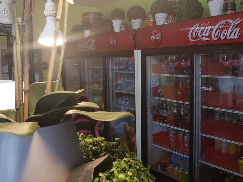Mary Alicia Restaurant interior